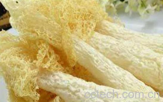 竹荪怎么吃好 竹荪的食用方法-1