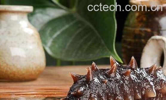 黑玉参的功效与作用-0