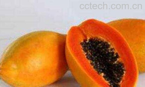 木瓜核的功效与作用 吃木瓜的好处-1