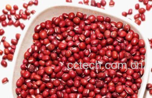 红小豆的功效与作用 红小豆的食用方法-1