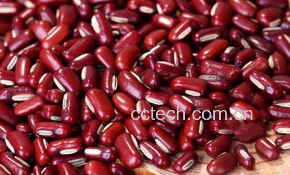 红小豆和赤小豆的区别 吃红小豆的好处-0