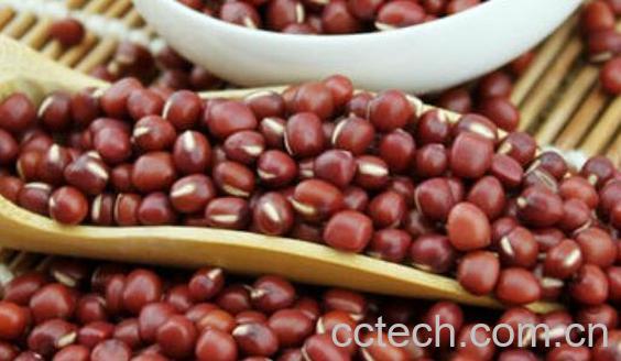红小豆的功效与作用 红小豆的食用方法-0