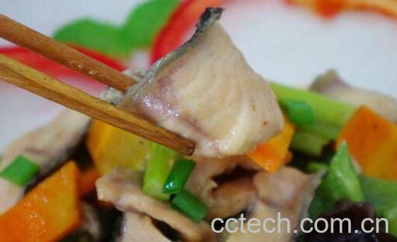 黑鱼不适合什么人吃 吃黑鱼的禁忌-0