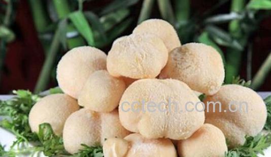 猴头菇怎么吃 猴头菇的食用方法大全-1