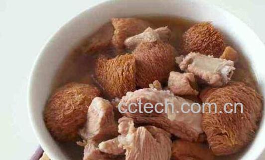 猴头菇怎么吃 猴头菇的食用方法大全-0