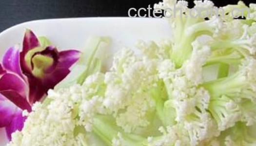 十大打农药最多的菜-1