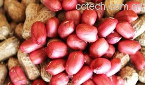 花生的功效与作用及禁忌-0