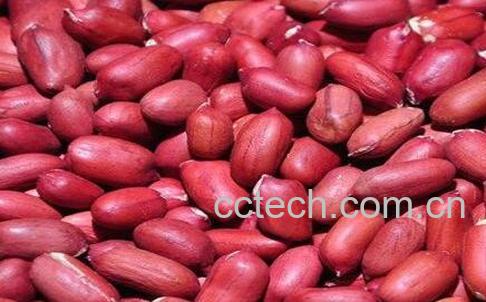 花生的功效与作用及禁忌-1