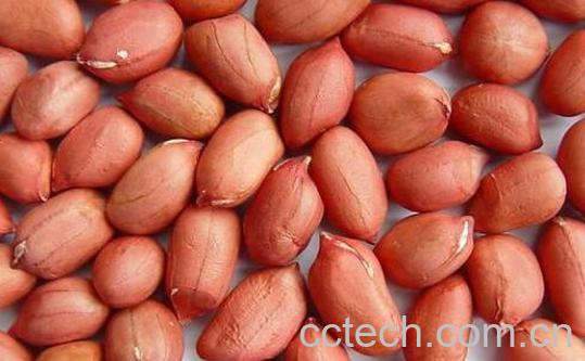 生吃花生米的八大好处-1