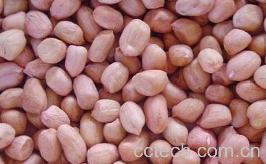 花生怎么吃最有营养-0