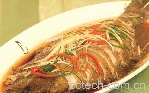 鸦片鱼的功效作用与食用方法-0