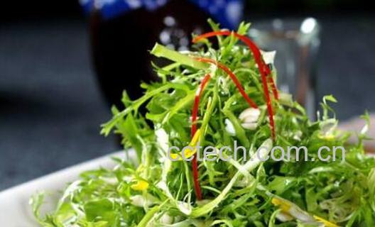 苦菊的功效与作用及禁忌-1