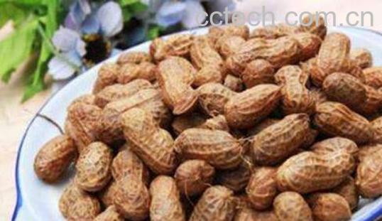 每天吃花生有什么好处 -1