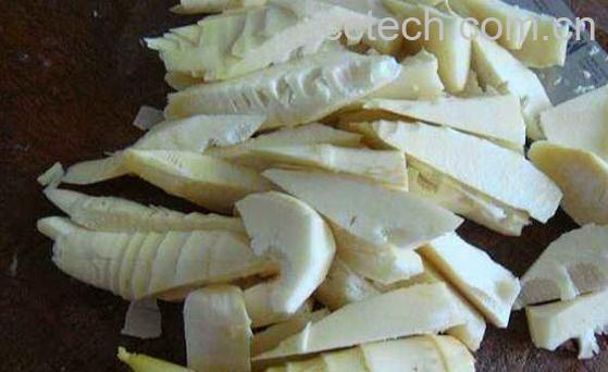 吃竹笋的禁忌有哪些 六种人不宜多吃竹笋-0