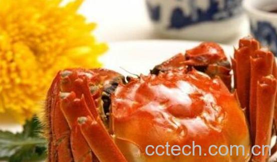 吃螃蟹的禁忌有哪些 吃螃蟹的注意事项-0