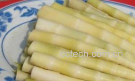 鲜竹笋怎么保存 新鲜竹笋怎么冰箱保存-0