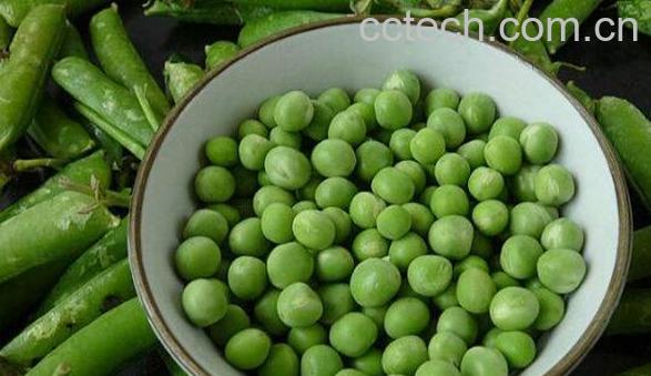 豌豆怎么做好吃 豌豆的家常做法教程-0