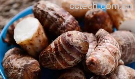 女性吃芋头的好处与禁忌-0