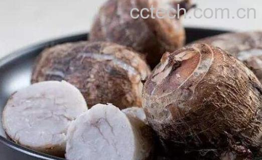 女性吃芋头的好处与禁忌-1