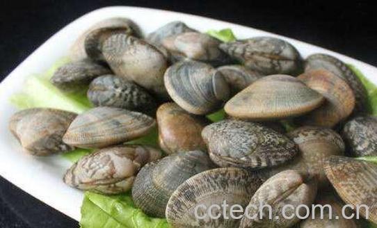 花蛤去沙小技巧 2分钟花蛤快速吐沙子-1
