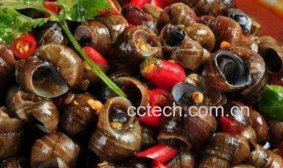 田螺怎么洗最快最干净 田螺清洗方法教程-0