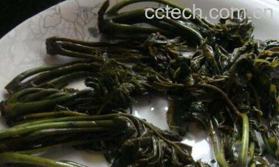 怎样腌香椿芽咸菜 香椿芽的腌制方法窍门-0