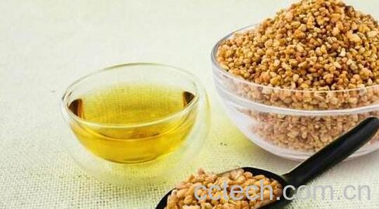 苦荞米的功效与作用 苦荞米的禁忌-1