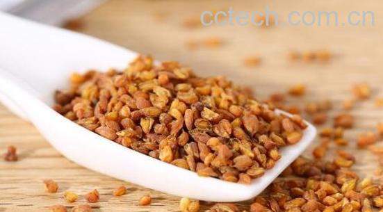 苦荞米的功效与作用 苦荞米的禁忌-0