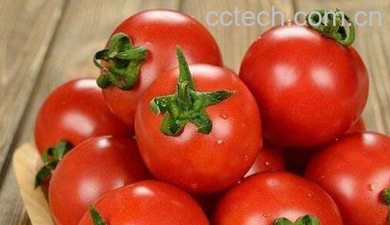 吃什么刮肚子脂肪最快 吃什么能瘦肚子赘肉-1