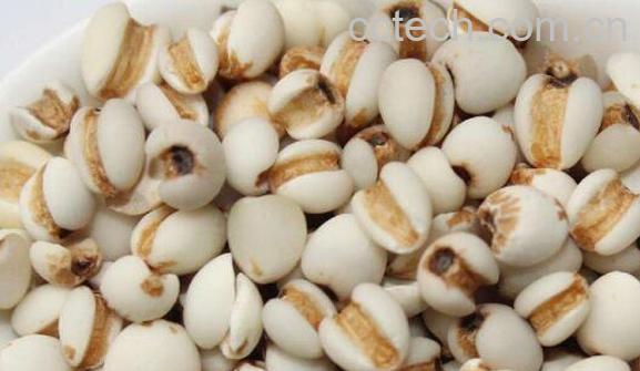 越吃越瘦的10种杂粮-0