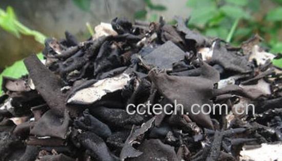 石耳怎么泡发和清洗 石耳泡多久-0