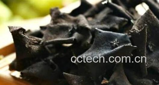 石耳怎么泡发和清洗 石耳泡多久-1