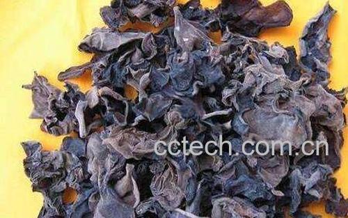 石耳如何洗 石耳正确清洗方法-0