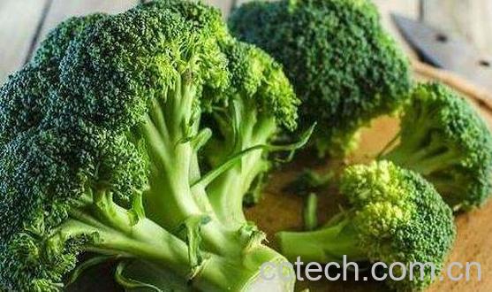 孕妇必吃的12种蔬菜-1