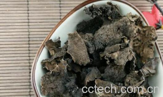 石耳不能和什么一起吃 吃石耳的禁忌-1