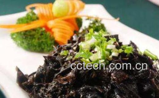 石耳不能和什么一起吃 吃石耳的禁忌-0