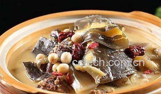 甲鱼的功效与作用及禁忌-1