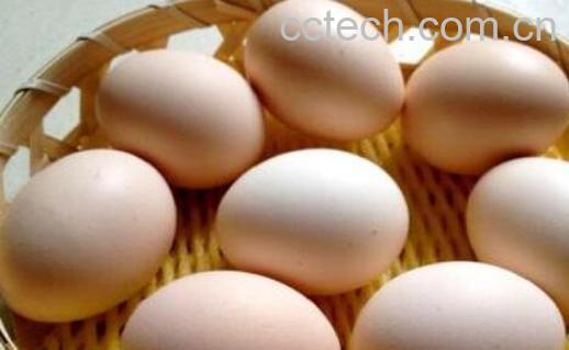 鸡蛋和乌鸡蛋的区别营养 吃鸡蛋的好处-0