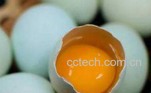 乌鸡蛋对女性的好处 乌鸡蛋不适合什么人吃-1