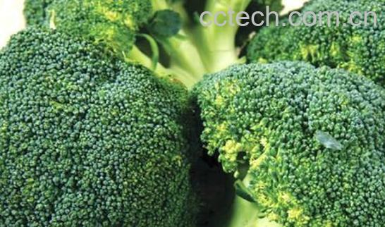 青花菜怎么炒好吃窍门-0