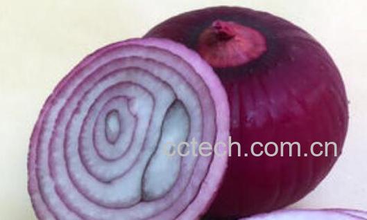 紫圆葱泡醋起什么作用-1