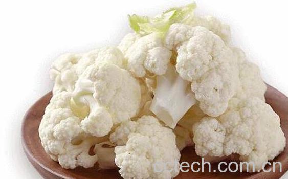 白花菜和松花菜的区别 吃白花菜的好处-1