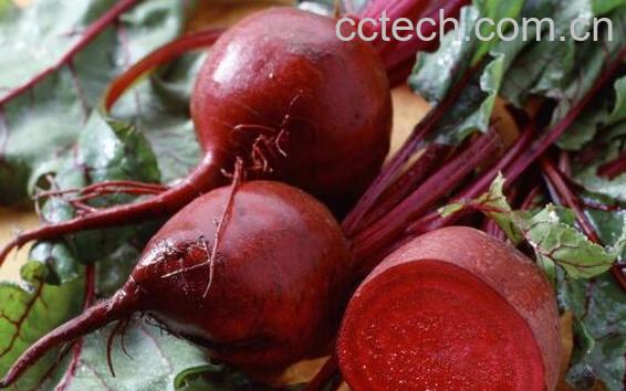 甜菜碱对皮肤的作用与功效-0