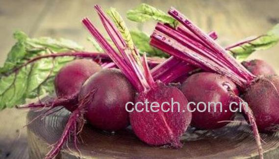 甜菜碱对皮肤的作用与功效-1
