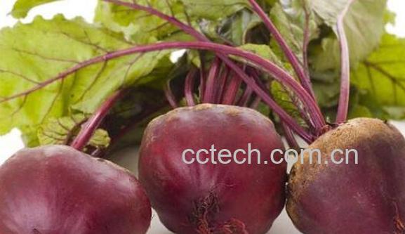 甜菜碱的功效与作用 甜菜碱的副作用-1