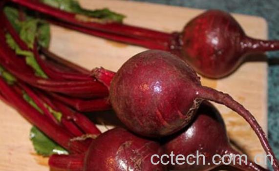 甜菜碱的功效与作用 甜菜碱的副作用-0