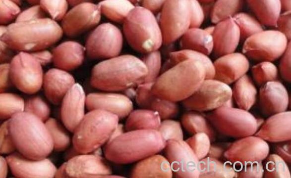 生花生泡水的功效与作用-0