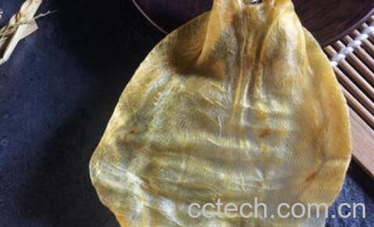 蜘蛛胶的功效与禁忌-1