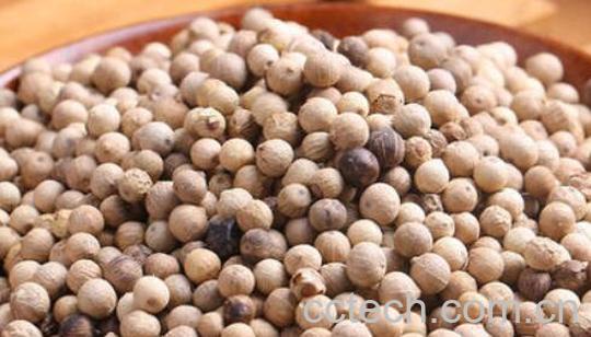 白胡椒和黑胡椒的用途-1
