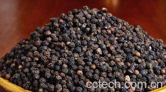 白胡椒和黑胡椒的用途-0